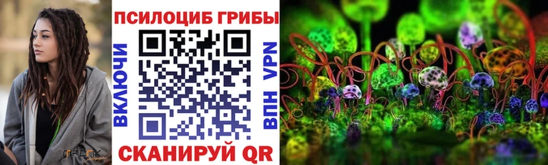 Галлюциногенные грибы Cubensis  Заволжск 